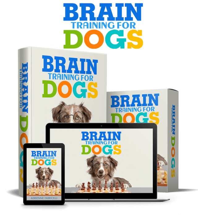 Brain Training For Dogs-product